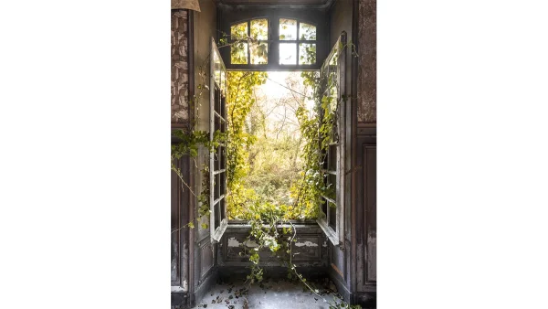 Cadre Photo Nature Style Urbex En Plexiglas L80 X L120 Cm LIERE Top ventes 1